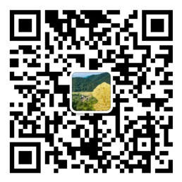 网信彩票我的账户